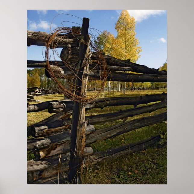 Poster Fil Barbe (Devant)