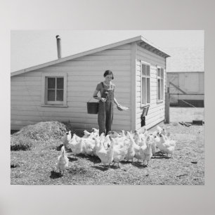 Poster Fille de ferme nourrissant des poulets, 1936. Phot