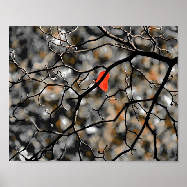 Poster Fin automne (Devant)