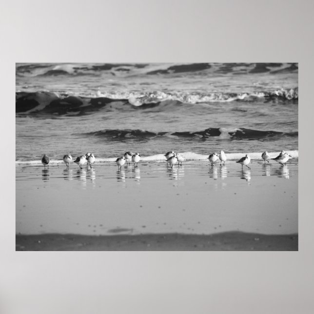 Poster Fin de la ligne (Devant)