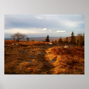 Poster Fin de l'après-midi sur les Sods