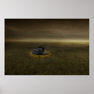 Poster Fin d'un but 2013