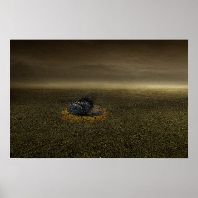 Poster Fin d'un objectif 2013 (Devant)