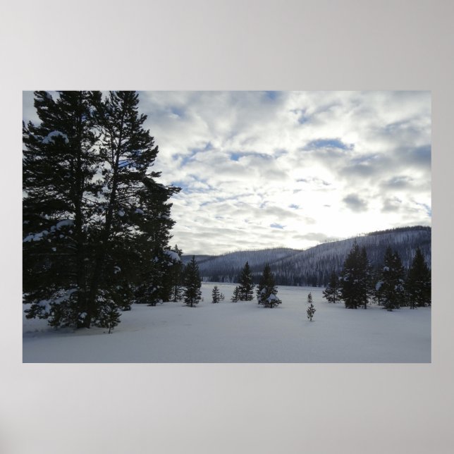 Poster Fin d'une journée de neige dans le parc national d (Devant)
