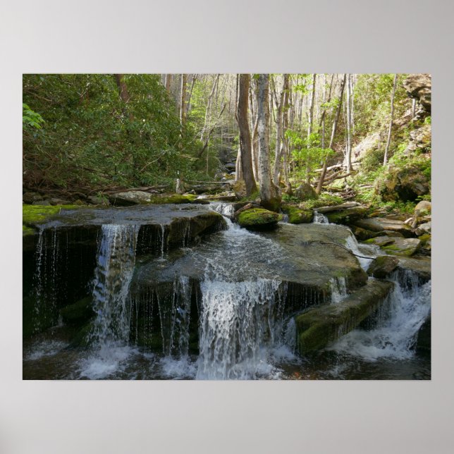 Poster Findlay Falls I (Devant)