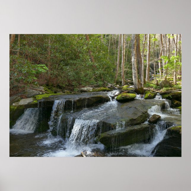 Poster Findlay Falls II (Devant)