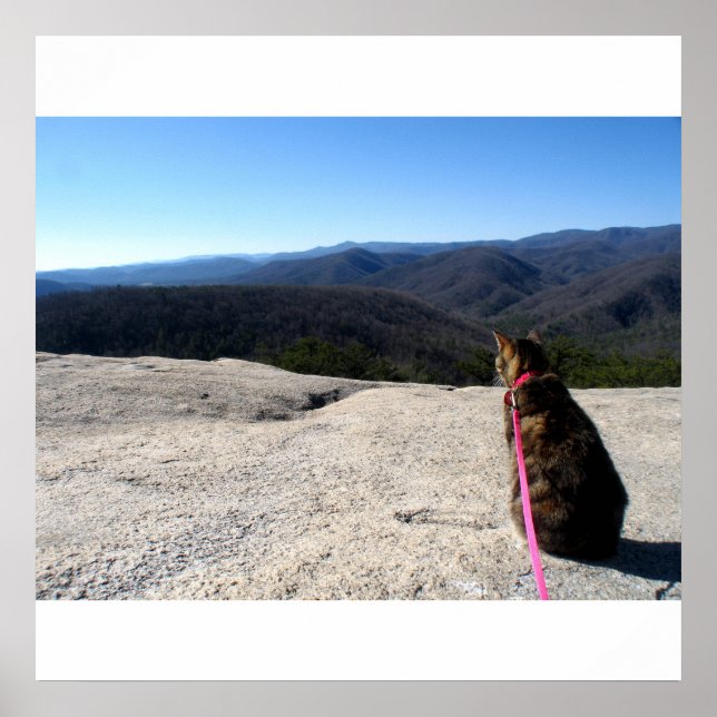 Poster Fink sur Stone Mountain (Devant)