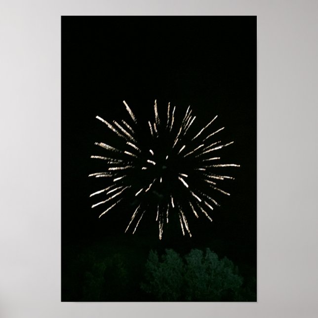 Poster Fireworks avec arbre (Devant)