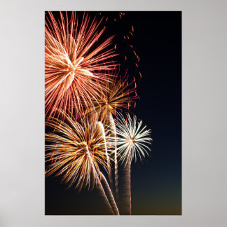 Poster Fireworks P0541 Imprimer