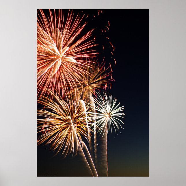 Poster Fireworks P0541 Imprimer (Devant)