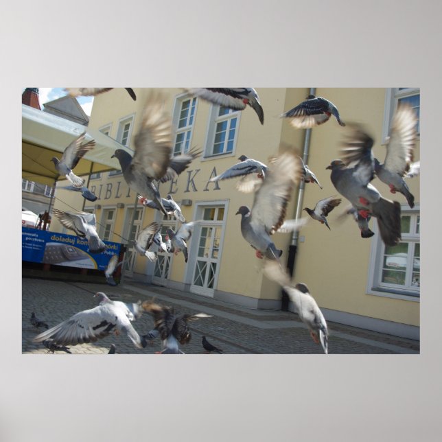 Poster Fissure (Devant)