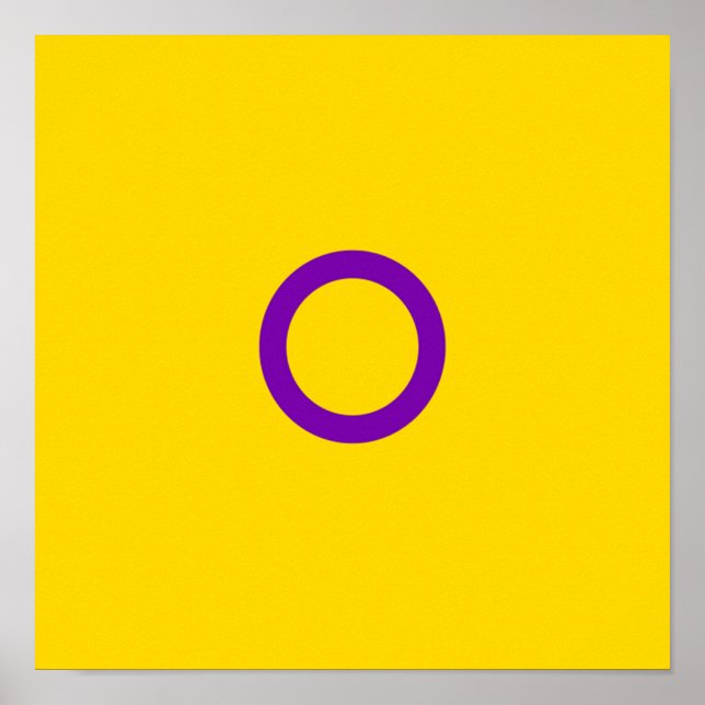Poster Flag de Instersex (Devant)