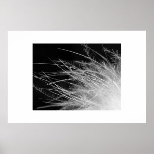 Poster flamant