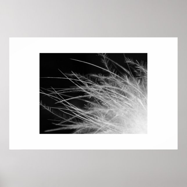 Poster flamant (Devant)