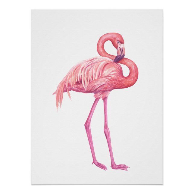 POSTER FLAMANT ROSE 2 (Devant)