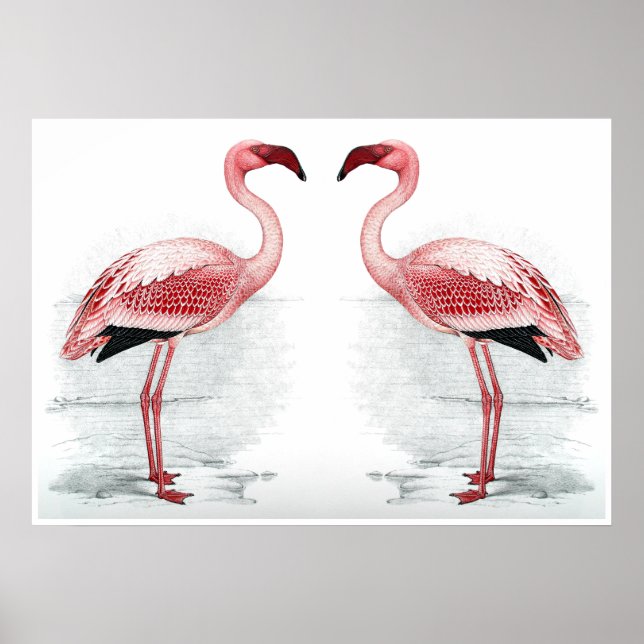 Poster FLAMANT ROSE PARKING Flamant rose Flock Art Imprim (Devant)