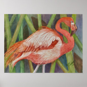 Poster Flamant rose rose exceptionnel