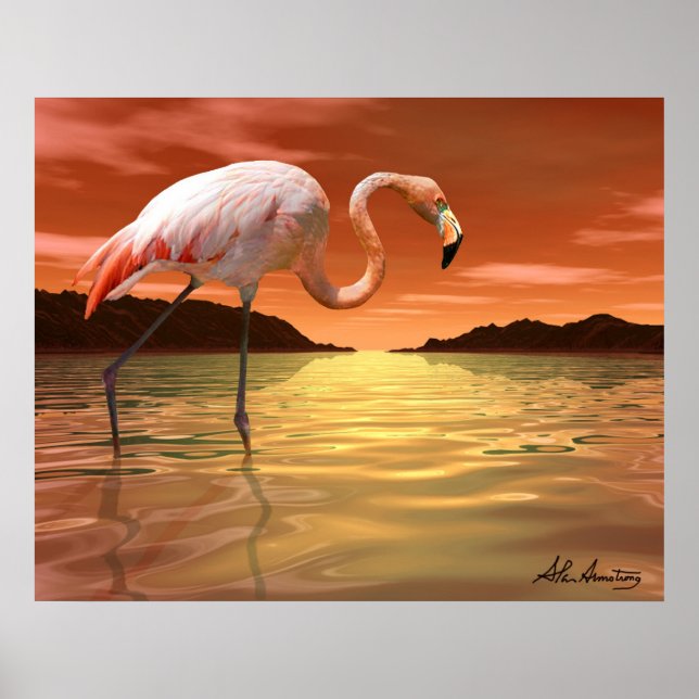 Poster Flamant rose rose Floride (Devant)