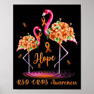 Poster Flamant rose Rsd Crps Sensibilisation 1