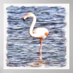 Poster Flamant rose sauvage