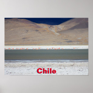 Poster Flamants roses à Salar del Huasco, Chili