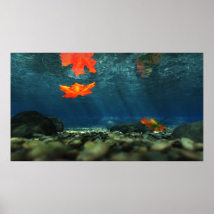 Poster Flamme dans la copie de l'eau