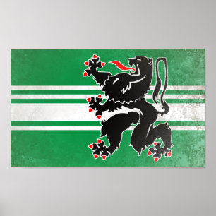 Poster Flandre orientale