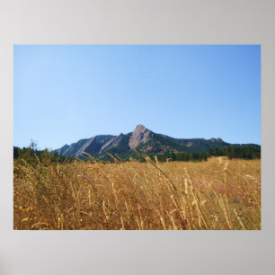 Poster Flat Irons