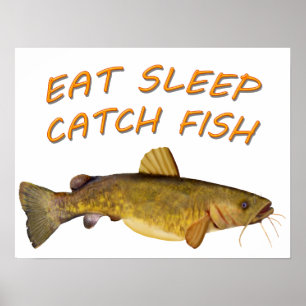 Poster Flathead Catfish
