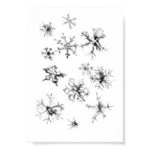 Flèches de neige simples et délicates