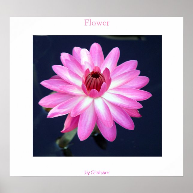 Poster Fleur (Devant)