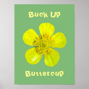 Poster Fleur Beurre - Buck Up Buttercup.