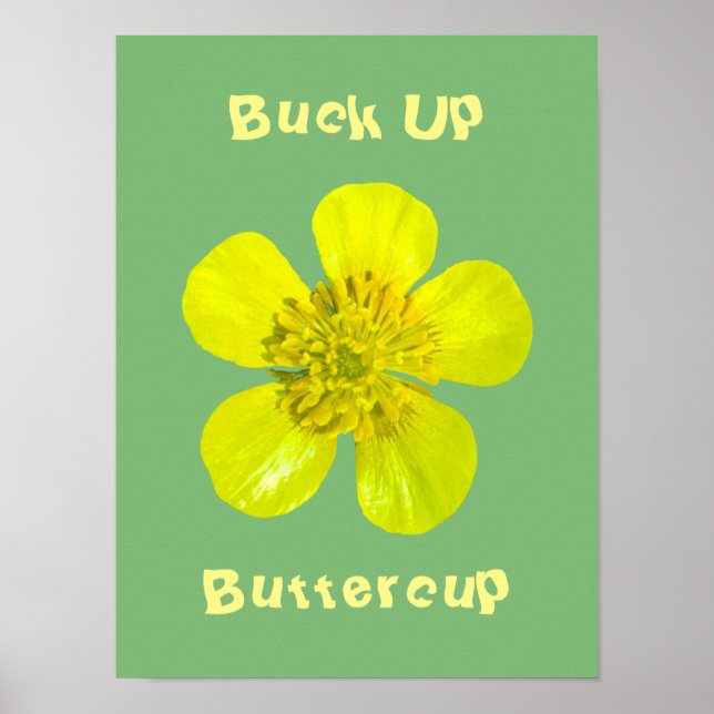 Poster Fleur Beurre - Buck Up Buttercup. (Devant)
