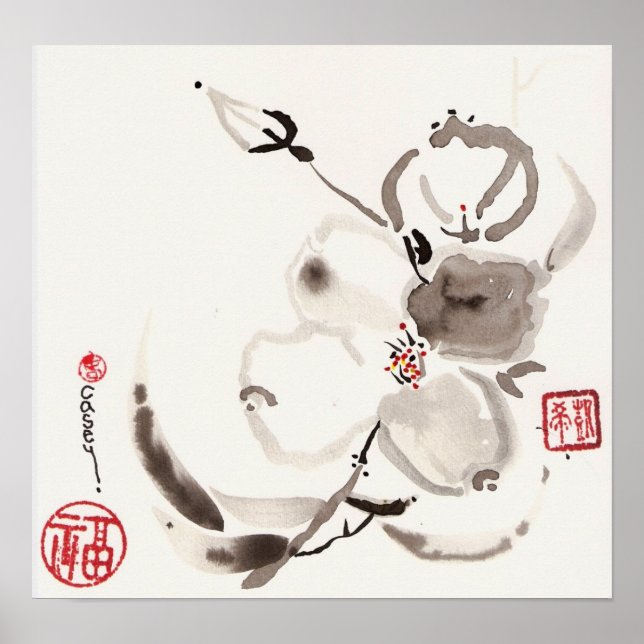 Poster Fleur blanche (Devant)