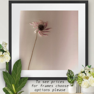 Poster Fleur conique