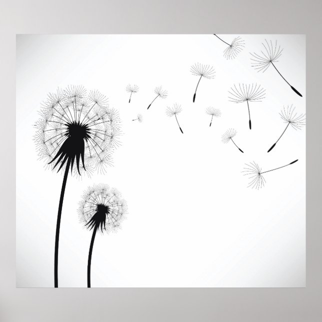 Poster Fleur Dandelion (Devant)
