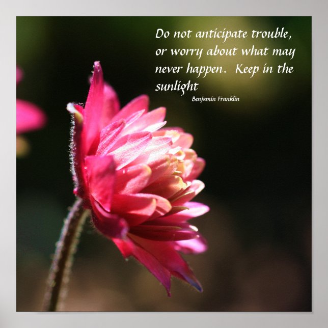 Poster Fleur Dans Sun Inner Peace Citation Inspiration (Devant)