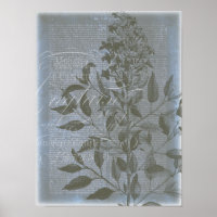 Fleur de Bleu I