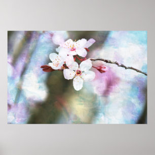 Poster Fleur de cerisier peint