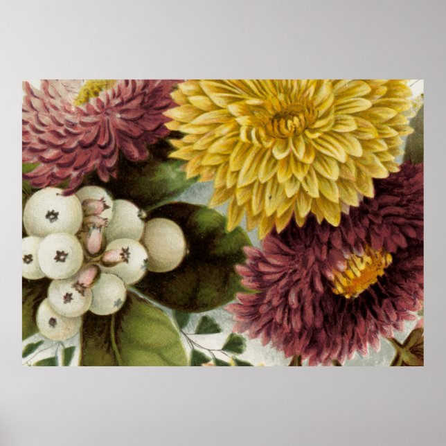 Poster Fleur de chrysanthème mère florale (Devant)