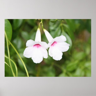 Poster Fleur de cloche de mariage