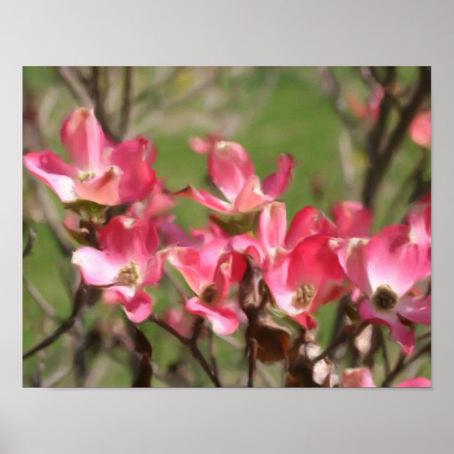 Poster Fleur de Dogwood rose fleuris Photo Peinture (Devant)