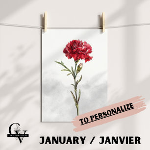 Poster Fleur de janvier aquarelle botanique oeillet rouge