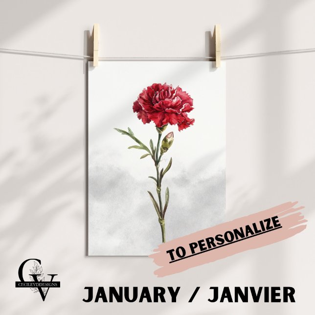 Poster Fleur de janvier aquarelle botanique oeillet rouge (Fleur de Naissance du mois de Janvier : L'Oeillet)