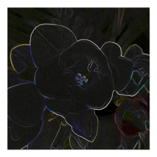 Poster fleur de la frénésie