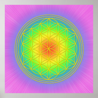 Poster Fleur de la vie Chakra 1