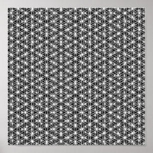 Poster Fleur De La Vie Weave Intricte #4