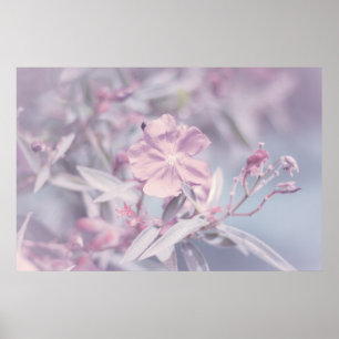 Poster Fleur de lavande pastel douce