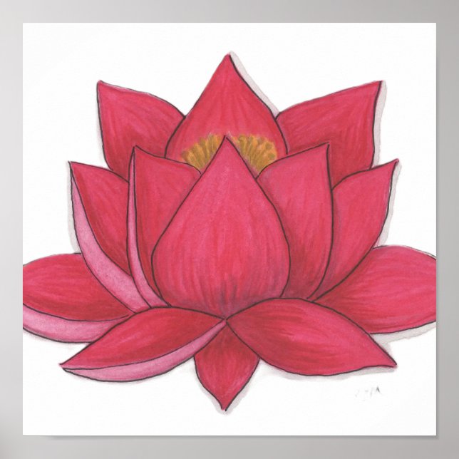 Poster Fleur de lotus (Devant)