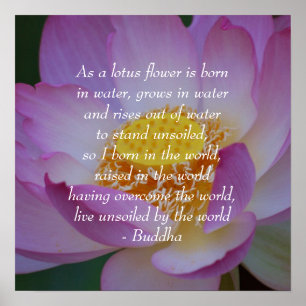 Poster Fleur de Lotus de citation de Bouddha